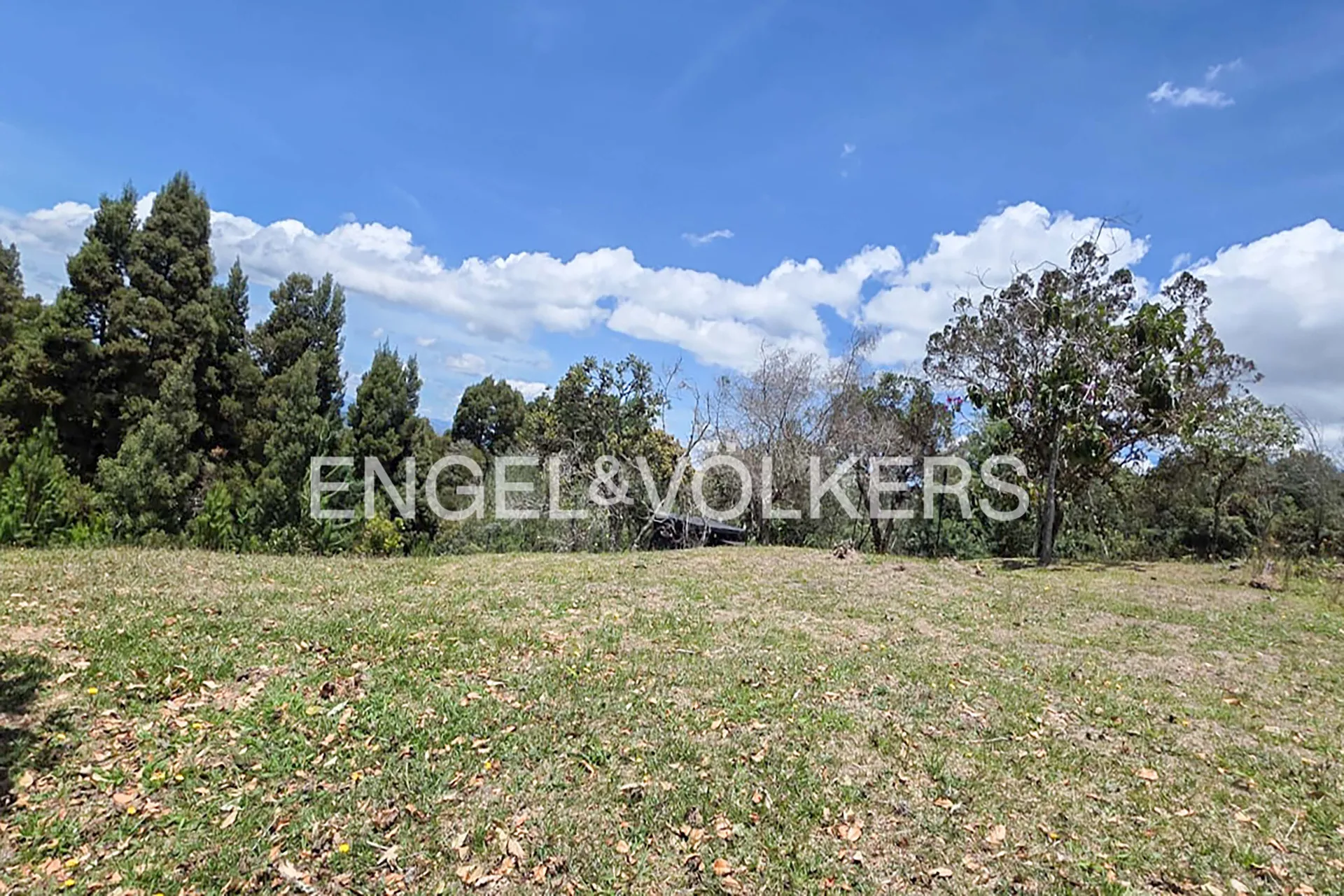 Land in Las palmas for Sale - 4