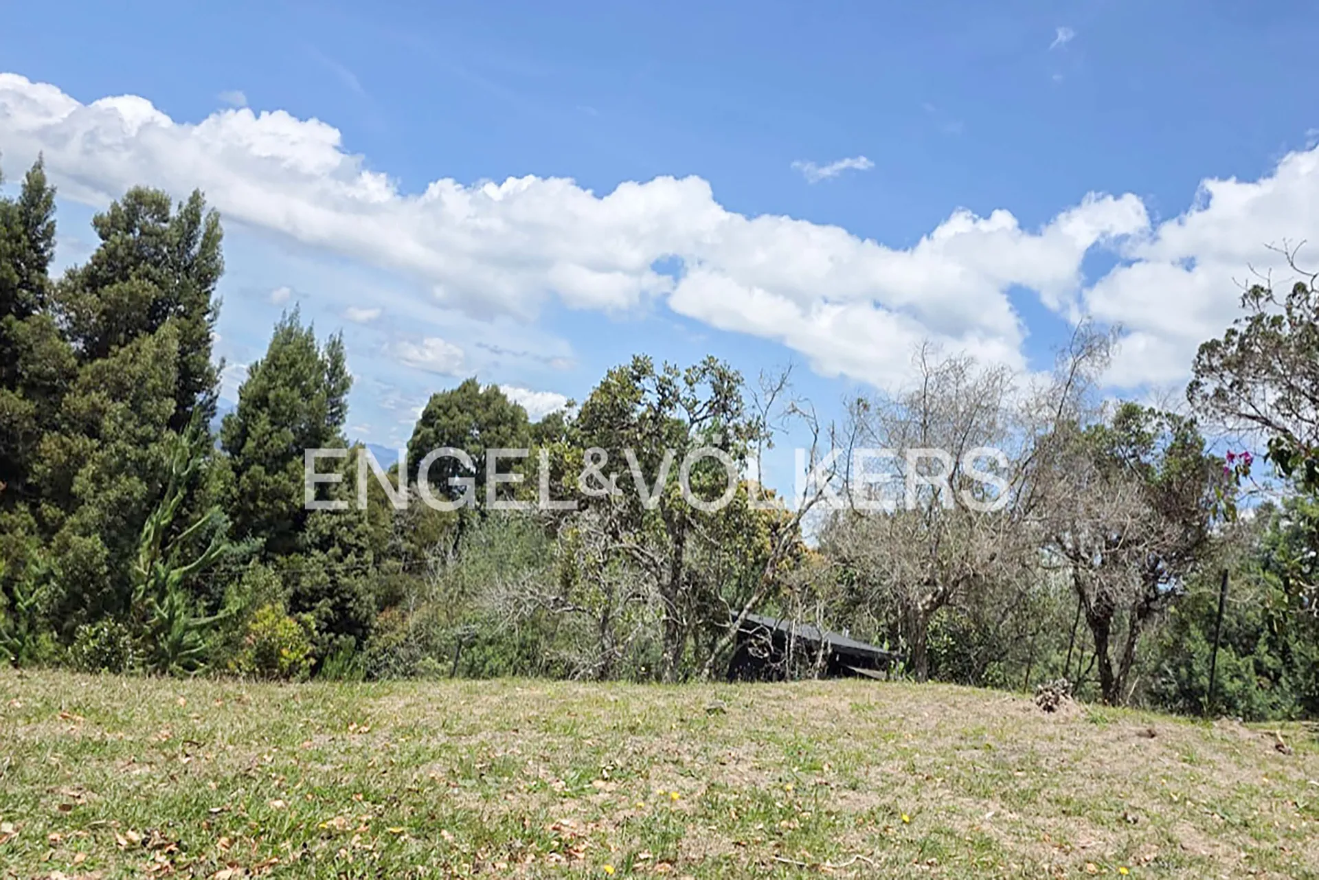 Land in Las palmas for Sale - 3