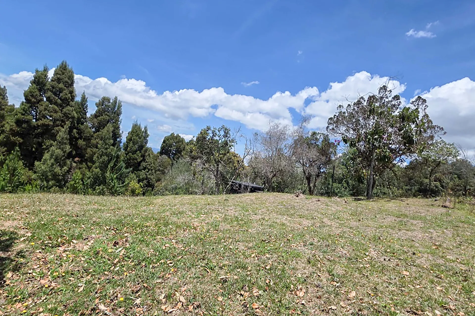 Land in Las palmas for Sale
