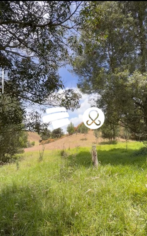 Lote en venta en Hato Viejo, Bello, 14060 m² · foto 6 de 16