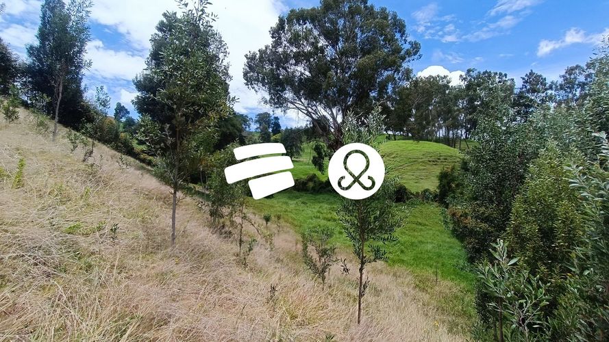 Lote en venta en Hato Viejo, Bello, 14060 m² · foto 12 de 16