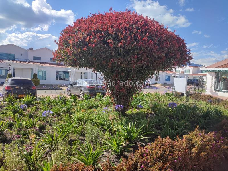 Casa en venta en Vereda La Granja, Zipaquirá · foto 16 de 20