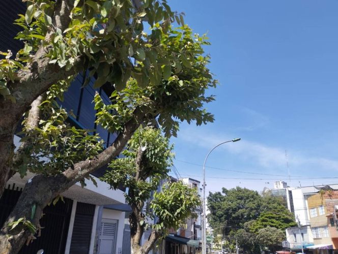 Local en arriendo en San Alonso, Bucaramanga, 370 m² · foto 14 de 15