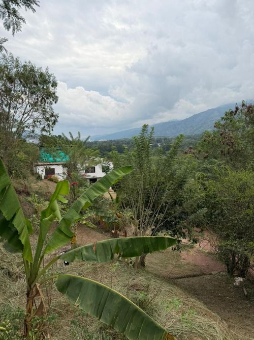 Finca en venta en Mesa De Los Santos, Piedecuesta, 1200 m² · foto 4 de 15