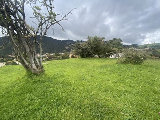 Lote en venta en Paso Real, La Calera, 3839 m² · foto 4 de 10