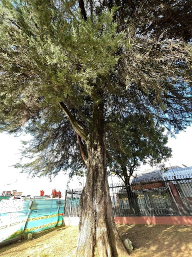 Casa en venta en Niza, Bogotá · foto 18 de 24