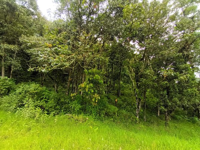 Lote en venta en Escobero, Envigado, 2257 m² · foto 10 de 23