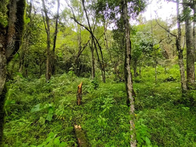 Lote en venta en Escobero, Envigado, 2257 m² · foto 23 de 23