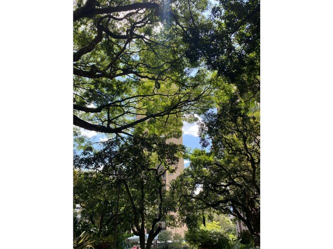 Apartamento de 4 alcobas en venta en Castropol, Medellín, 128 m² · foto 11 de 12