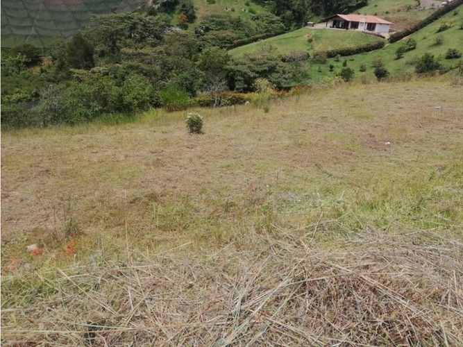 Lote en venta en La Industrial, Marinilla, 3560 m² · foto 6 de 9