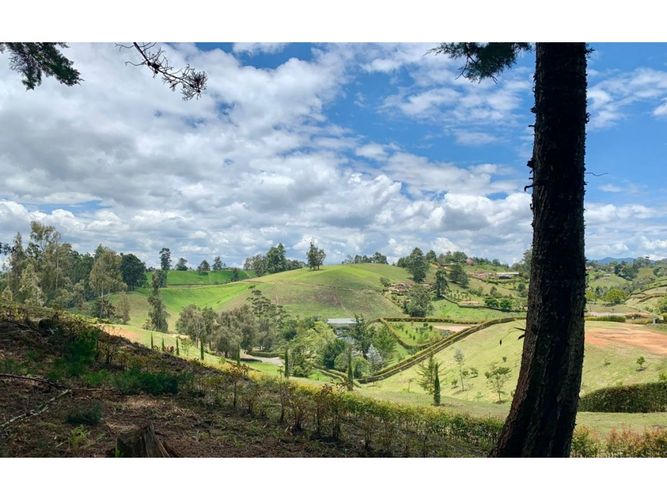 Lote en venta en La Ceja, 3205 m² · foto 6 de 7