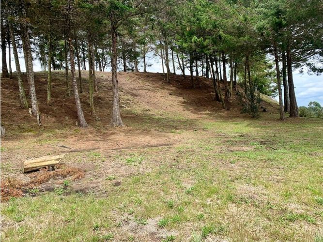 Lote en venta en La Ceja, 3205 m² · foto 7 de 7
