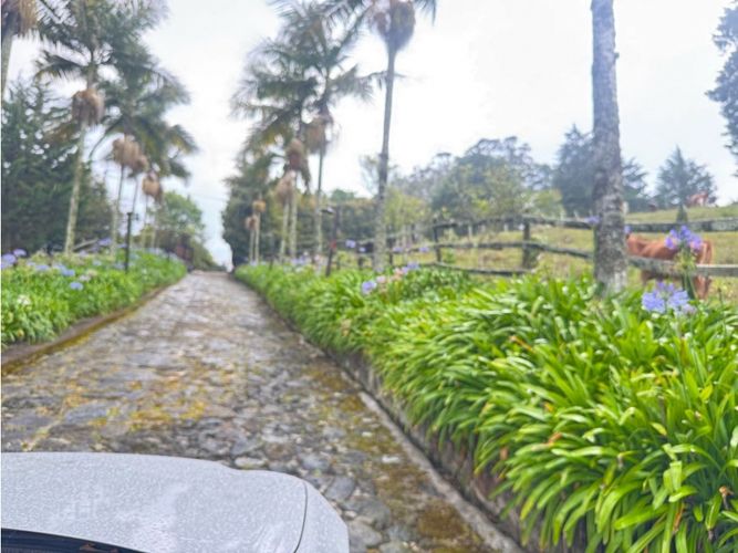 Finca en venta en El Picacho, Medellín, 462 m² · foto 23 de 24