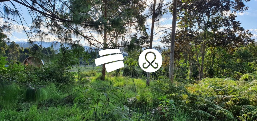 Lote en venta en San Miguel, La Ceja, 4306 m² · foto 6 de 7