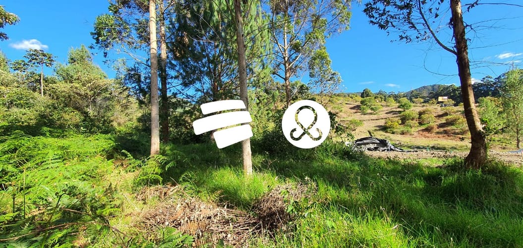 Lote en venta en San Miguel, La Ceja, 4306 m² · foto 7 de 7