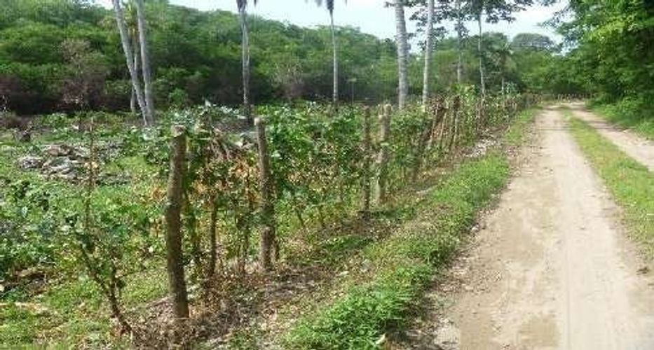 Lote en venta en Arroyo Grande, Cartagena, 46816 m² · foto 12 de 14