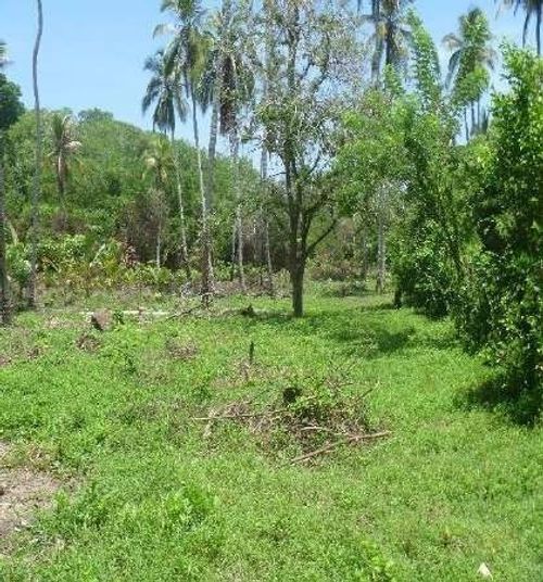 Lote en venta en Arroyo Grande, Cartagena, 46816 m² · foto 13 de 14
