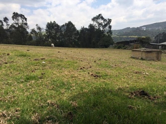 Lote en venta en La Toma, La Calera, 5216 m² · foto 7 de 9
