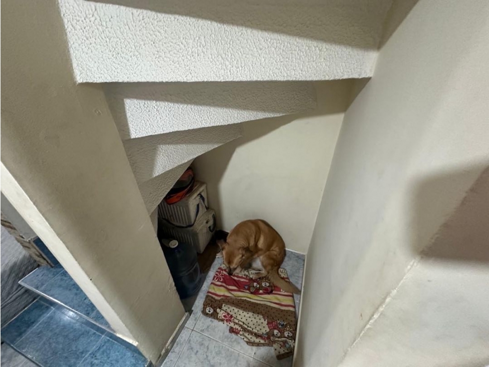 Casa en venta en Las Margaritas, Bogotá · foto 21 de 24