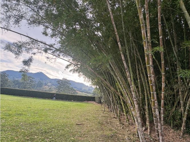 Lote en venta en La Ceja, 2633 m² · foto 6 de 15