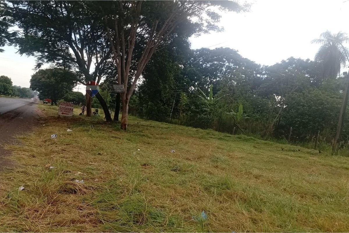 TERRENO DE 4 HECTÁREAS SOBRE LA RUTA PY08 EN GUAYAIBÍ EN VENT — foto 3