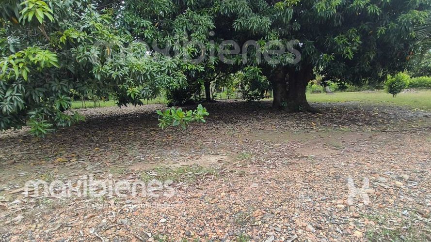 Lote en venta en Simon Bolivar Sb (Centro), Copacabana, 323 m² · foto 6 de 7