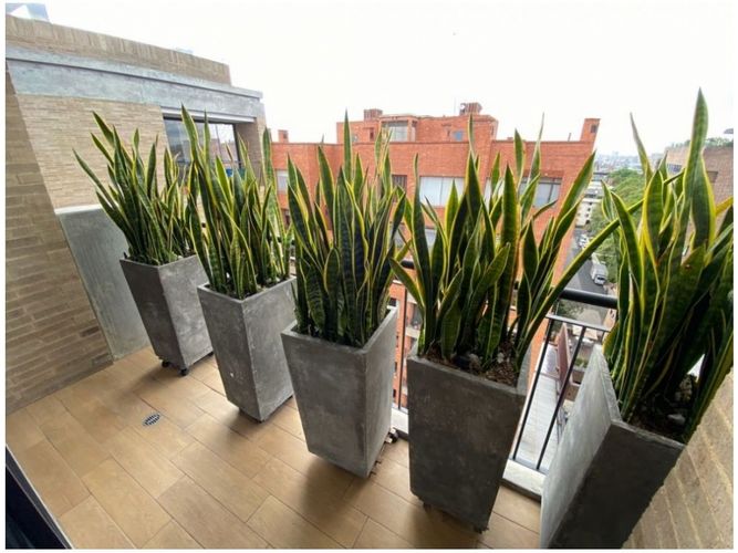 Apartamento en arriendo en El Virrey, Bogotá, 350 m² · foto 8 de 16