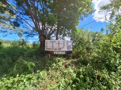 Amplio terreno en venta en Yaguarón — foto 2