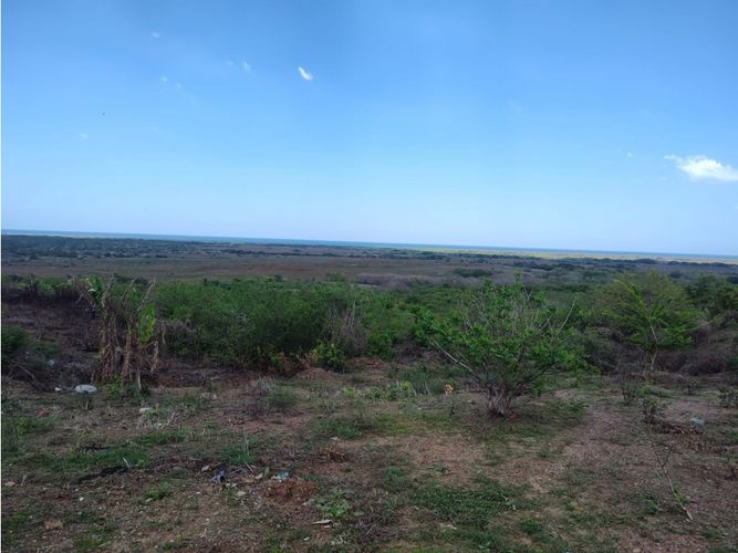 Lote en venta en Arroyo Grande, Cartagena · foto 9 de 15