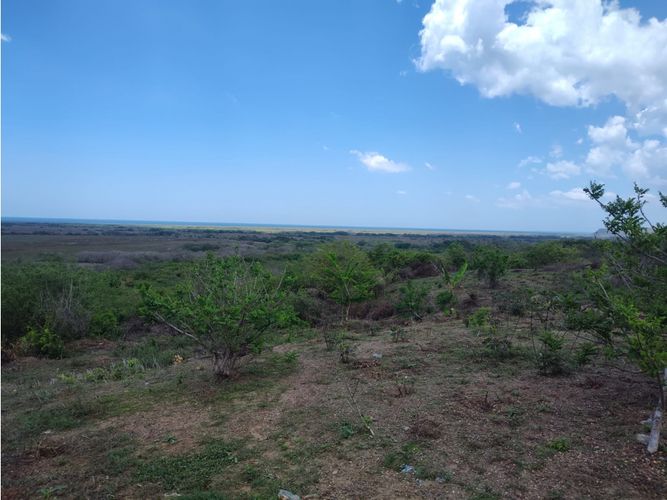 Lote en venta en Arroyo Grande, Cartagena · foto 12 de 15