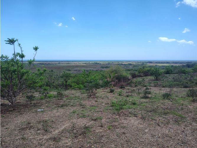 Lote en venta en Arroyo Grande, Cartagena · foto 13 de 15