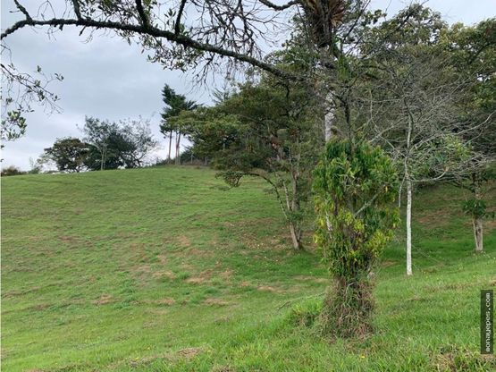 Land in Santa Elena (4674 m²) for Sale