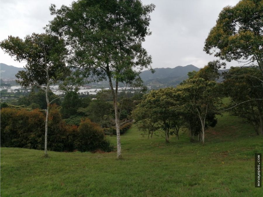 Land in Santa Elena (4674 m²) for Sale - 4