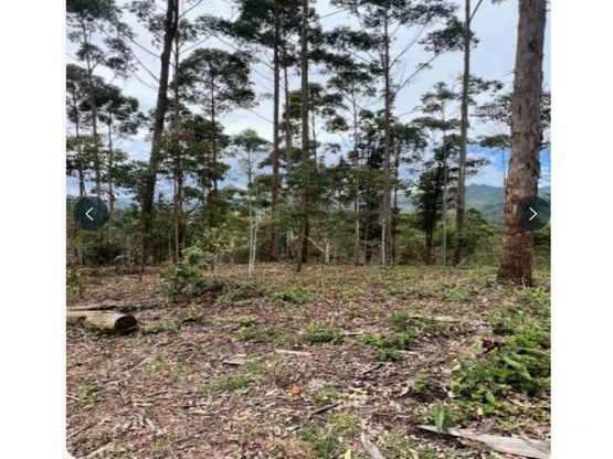 Land in Santa Elena (2472 m²) for Sale - 2