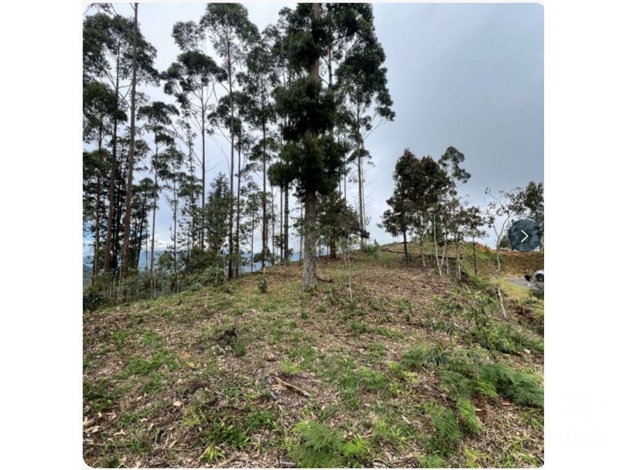 Land in Santa Elena (2472 m²) for Sale - 3