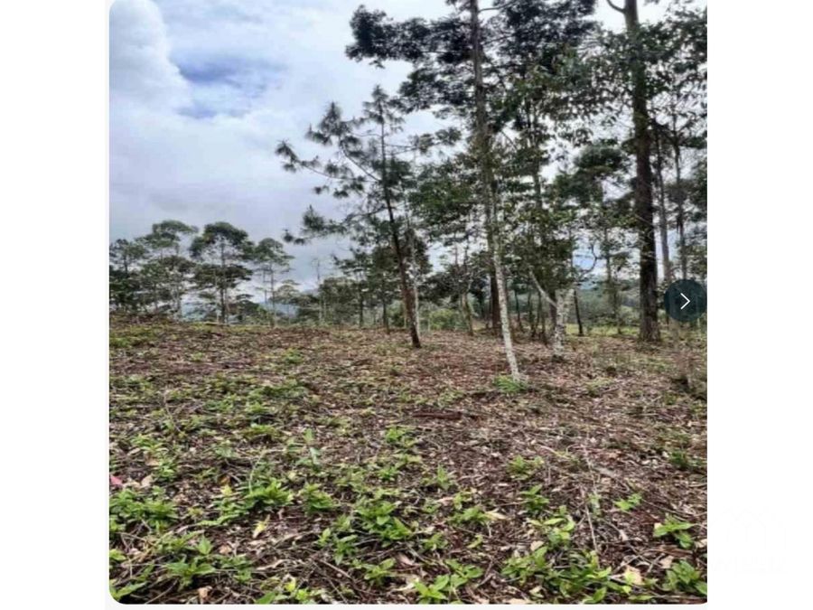 Land in Santa Elena (2472 m²) for Sale - 4