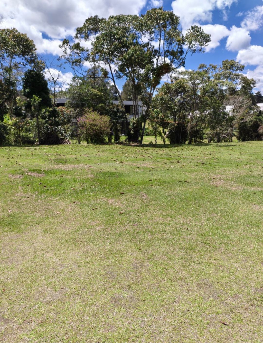 Land in Vía Las Palmas (2500 m²) for Sale