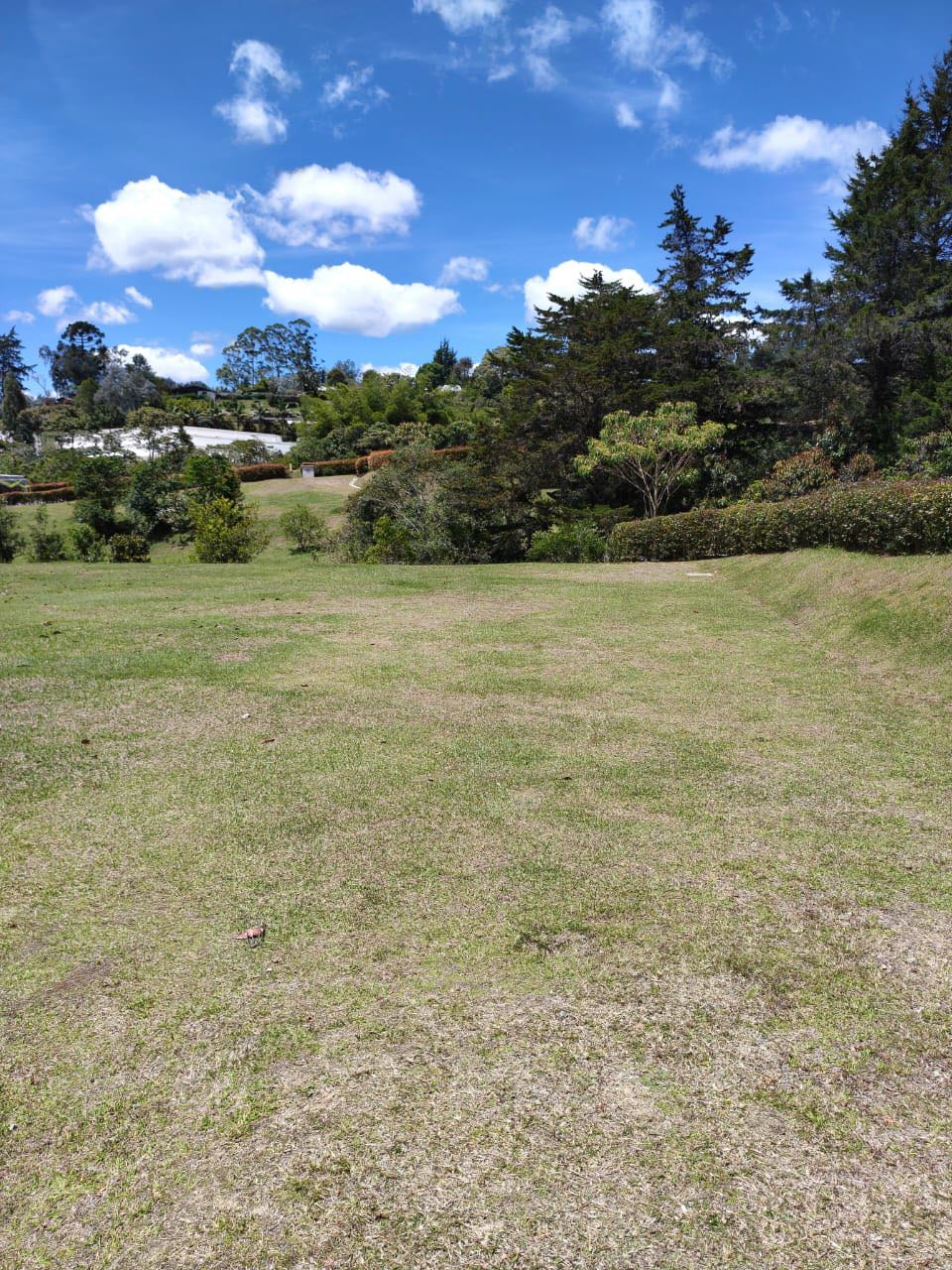 Land in Vía Las Palmas (2500 m²) for Sale - 4