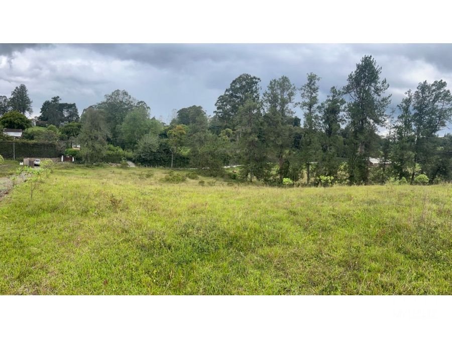 Land in Santa Elena for Sale - 3