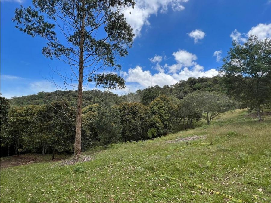 Land in Santa Elena for Sale - 2