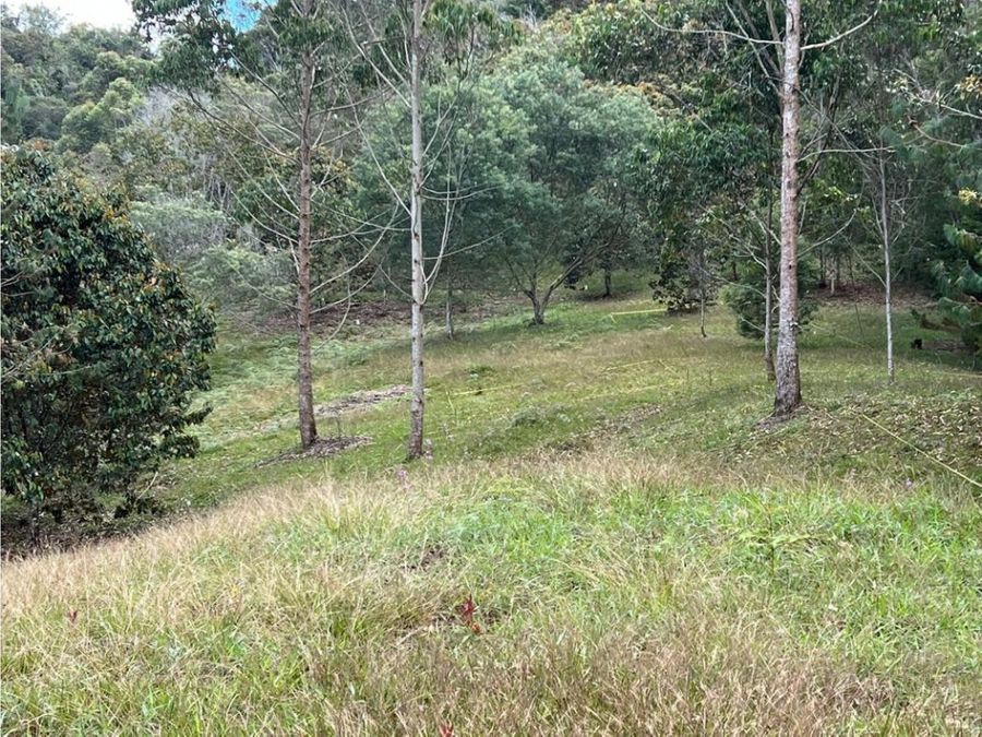 Land in Santa Elena for Sale - 3