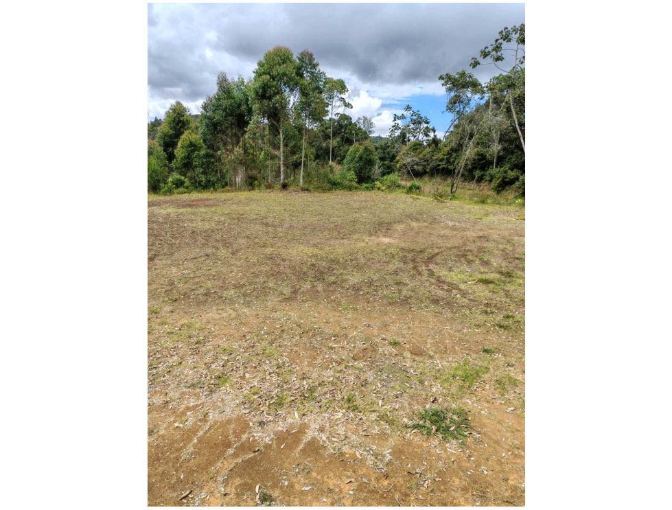 Land in Santa Elena (3562 m²) for Sale - 2