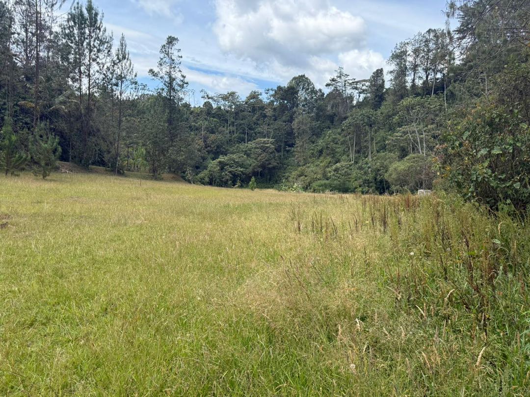 Land in Santa Elena for Sale - 4