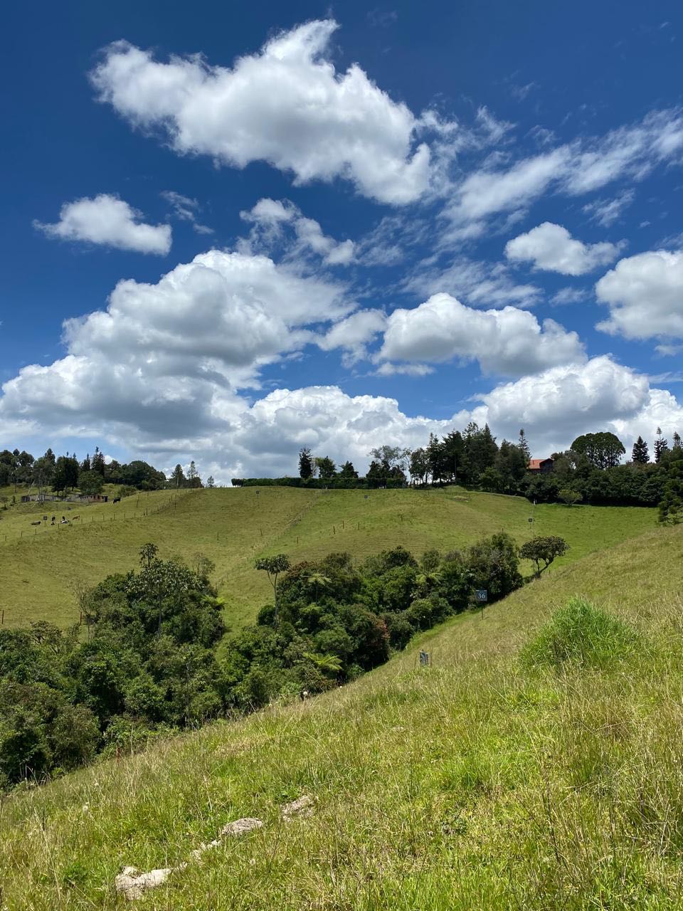 Land in Santa Elena (2000 m²) for Sale - 3