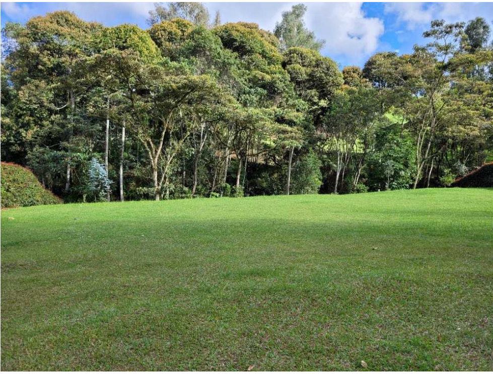 Land in Santa Elena (2942 m²) for Sale - 3