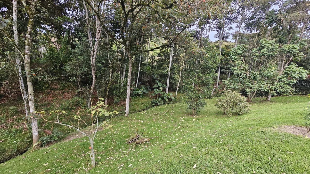 Land in Santa Elena (2942 m²) for Sale - 4