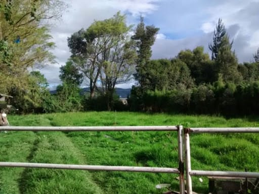 Lote en venta en El Misterio, Cajicá, 1825 m² · foto 4 de 11