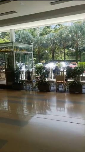 Local en arriendo en Los Naranjos, Medellín, 50 m² · foto 5 de 11