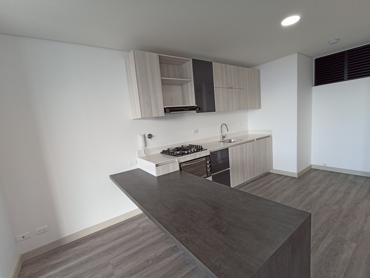 1BR Apartment in El tesoro (67 m²)