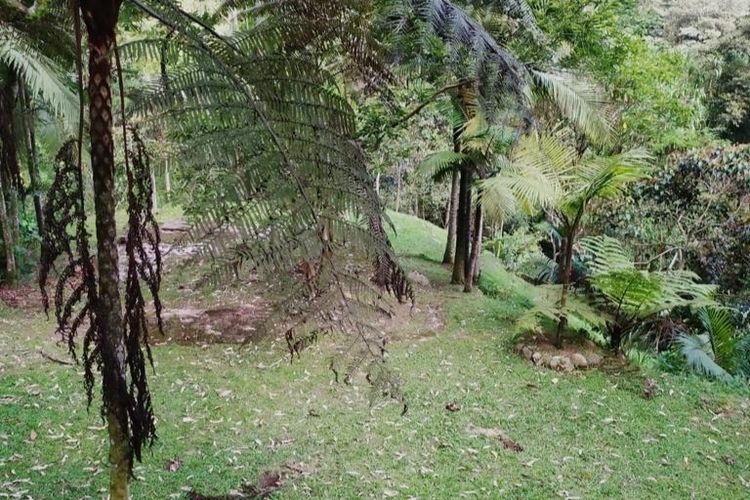 Finca en venta en Sabaneta Real, Sabaneta, 5700 m² · foto 11 de 13